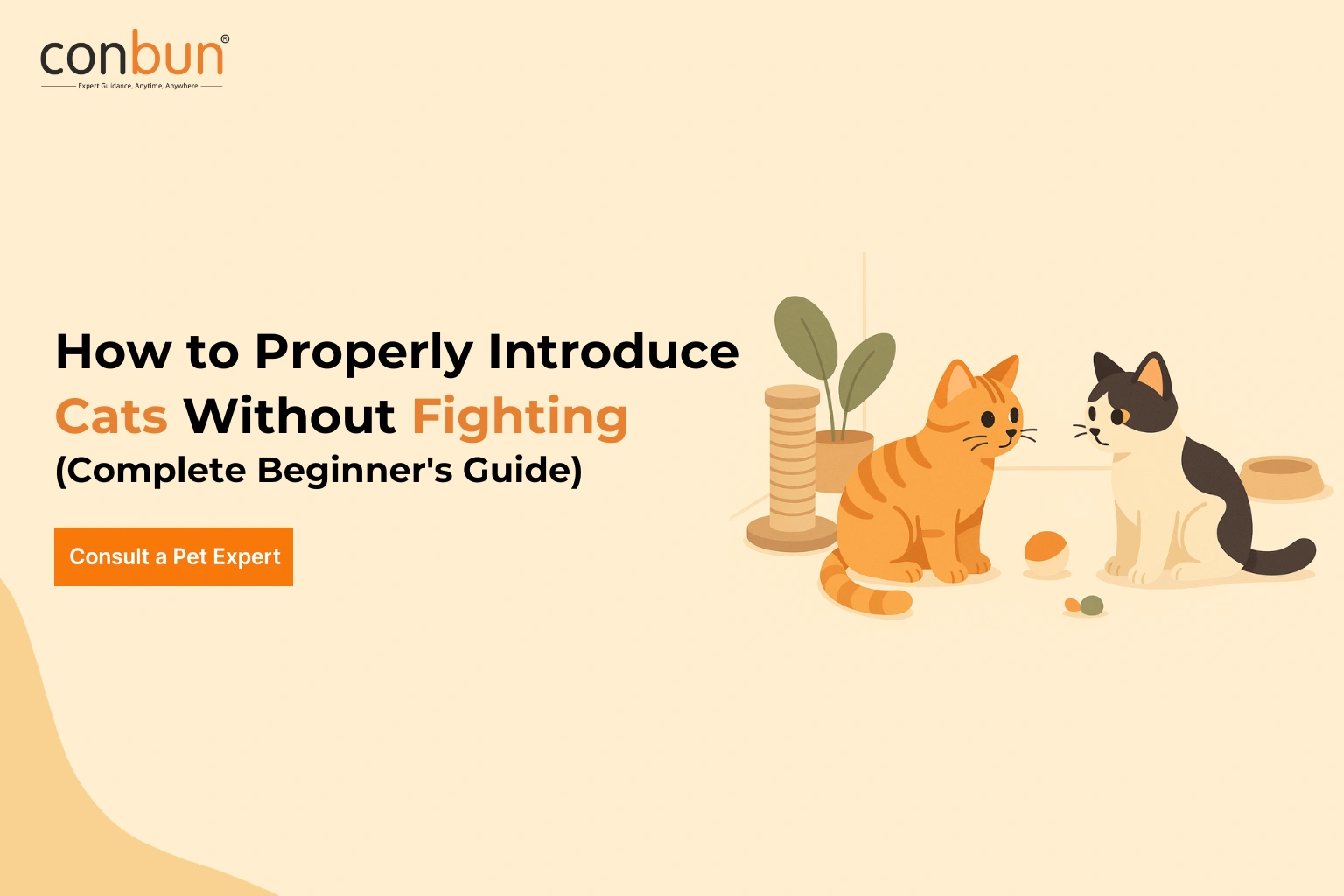 How to Properly Introduce Cats Without Fighting: Complete Beginner's Guide